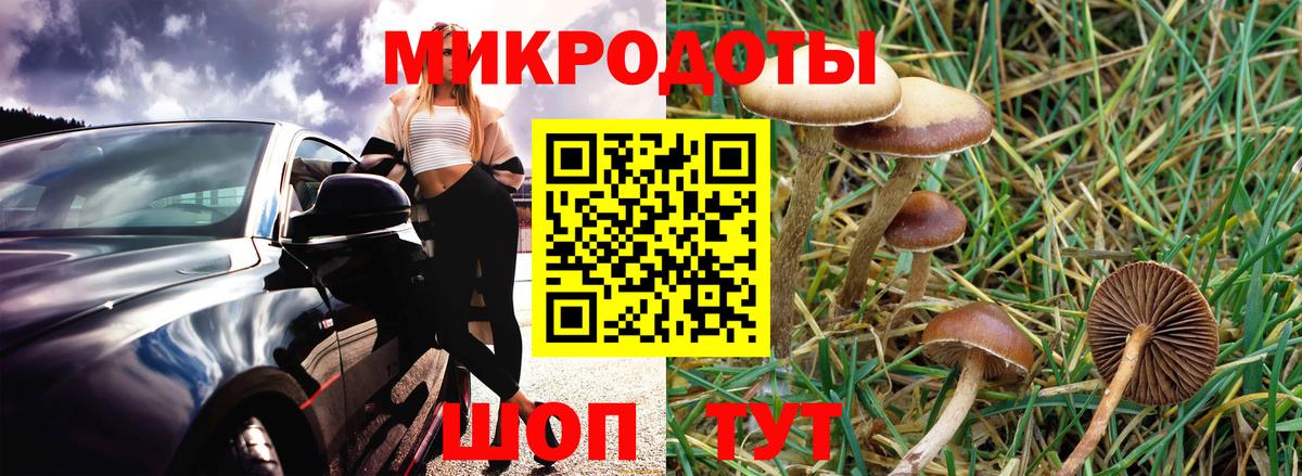 Ростов Великий  Галлюциногенные грибы Cubensis  Галлюциногенные грибы прущие грибы  где купить   Вход с VPN 