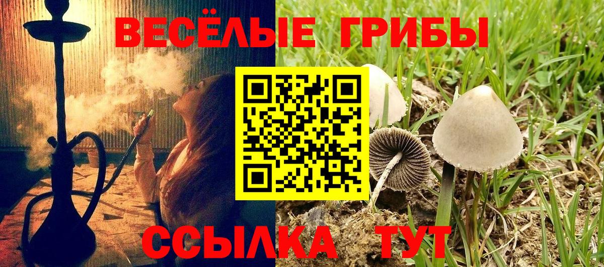 Псилоцибиновые грибы ЛСД Ростов Великий